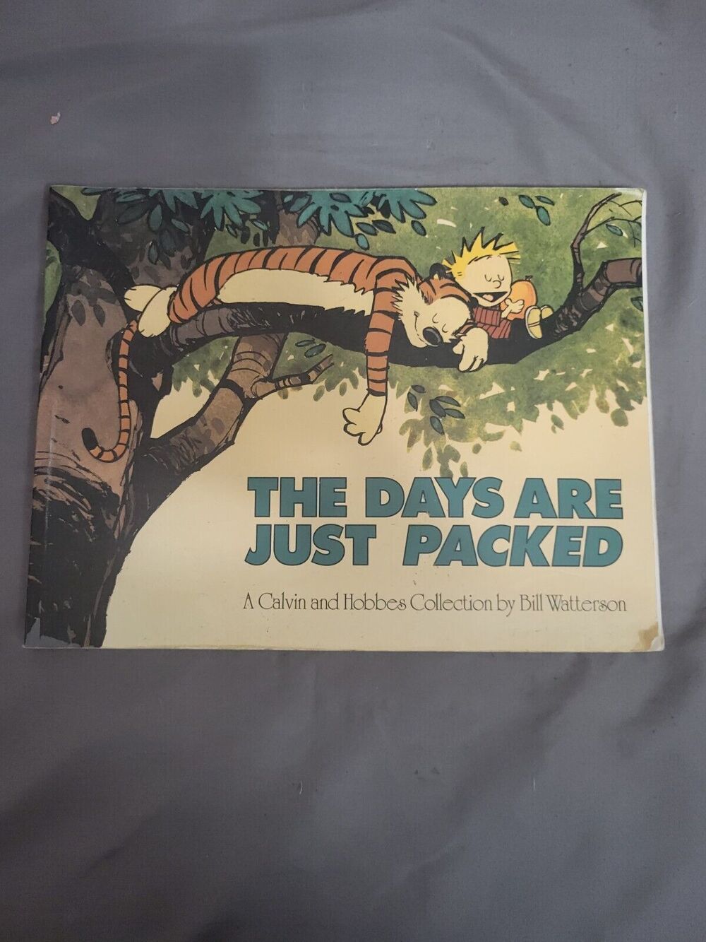 The Days Are Just Packed Bill Watterson Book Paperback